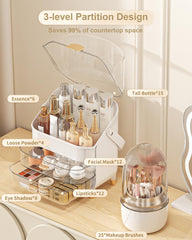 Anylady makeup organizer rose gold top view highlights tall bottles and lipsticks