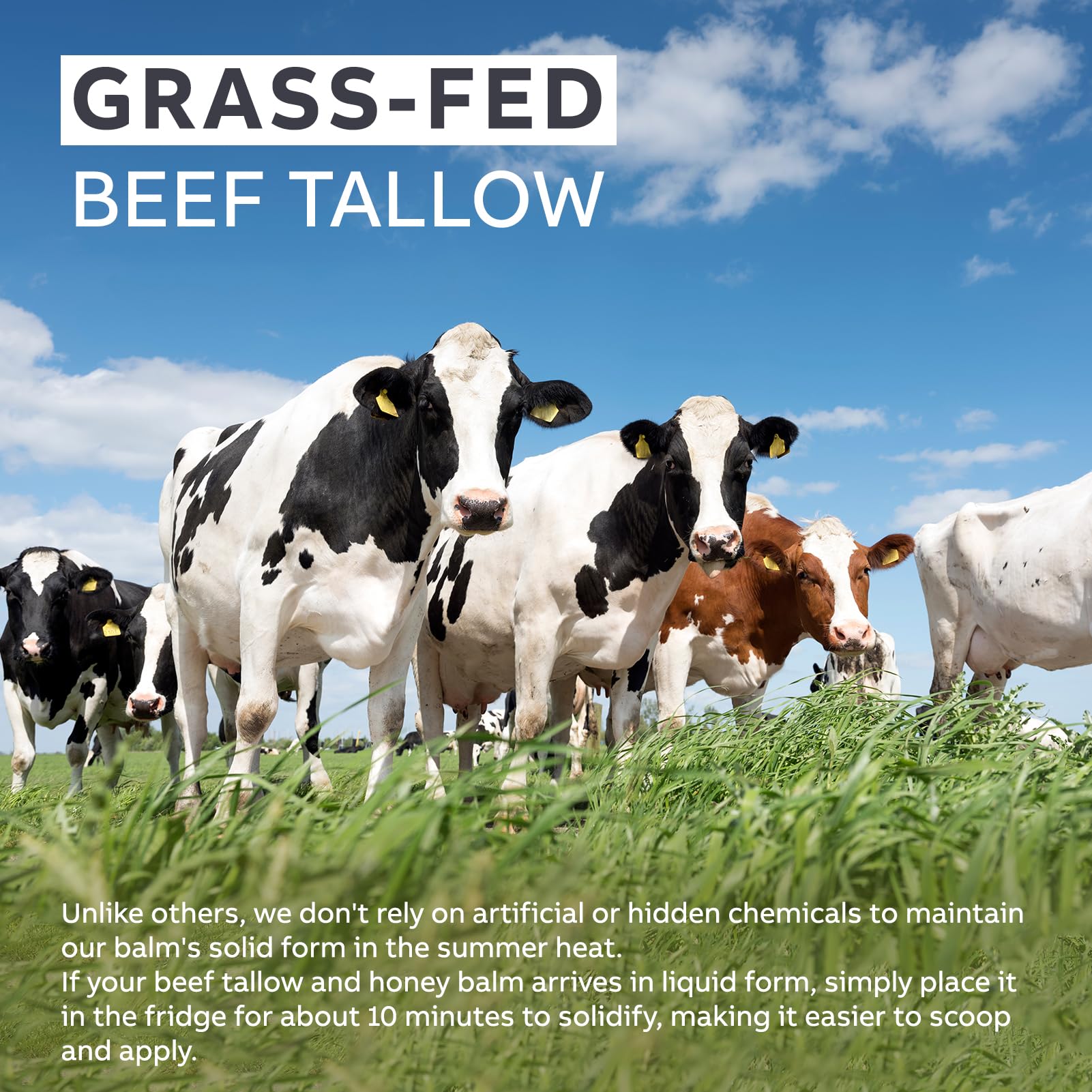 Arlun grass-fed beef tallow raw honey scene conveys premium ethically sourced ingredients.