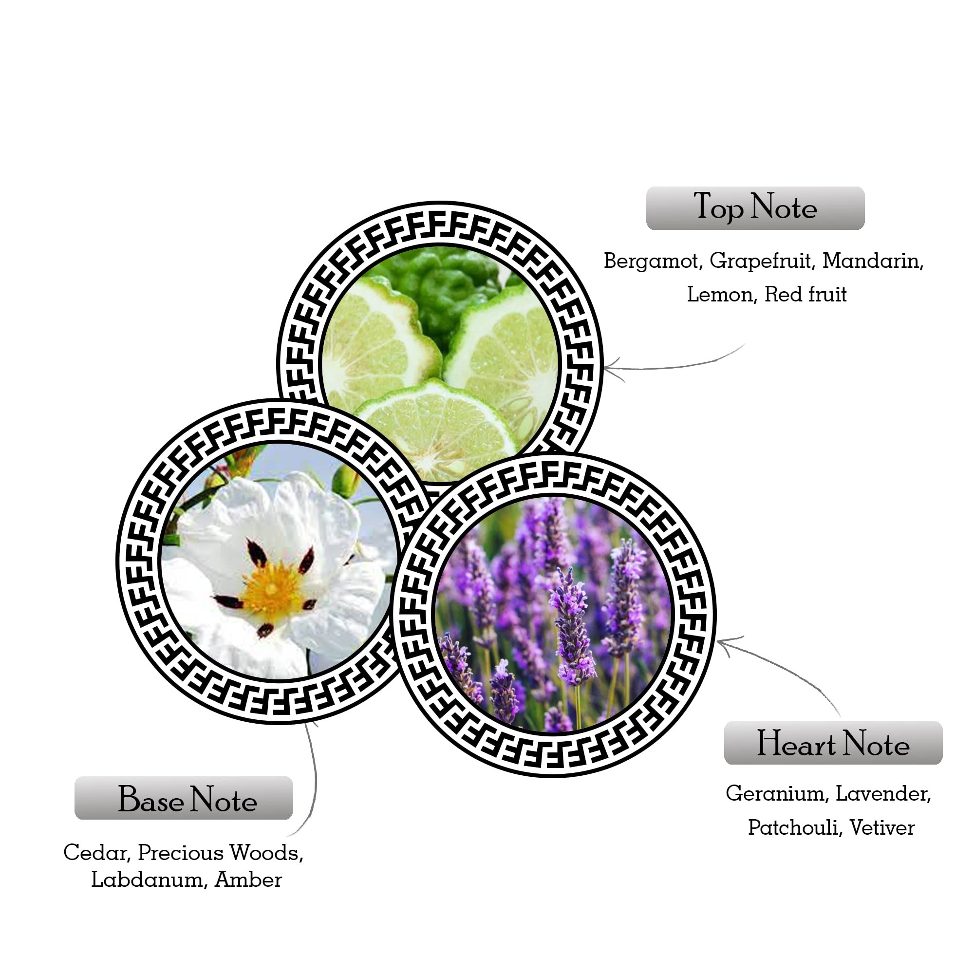 Armaf Ventana close-up label focuses on elegant branding and quality.
