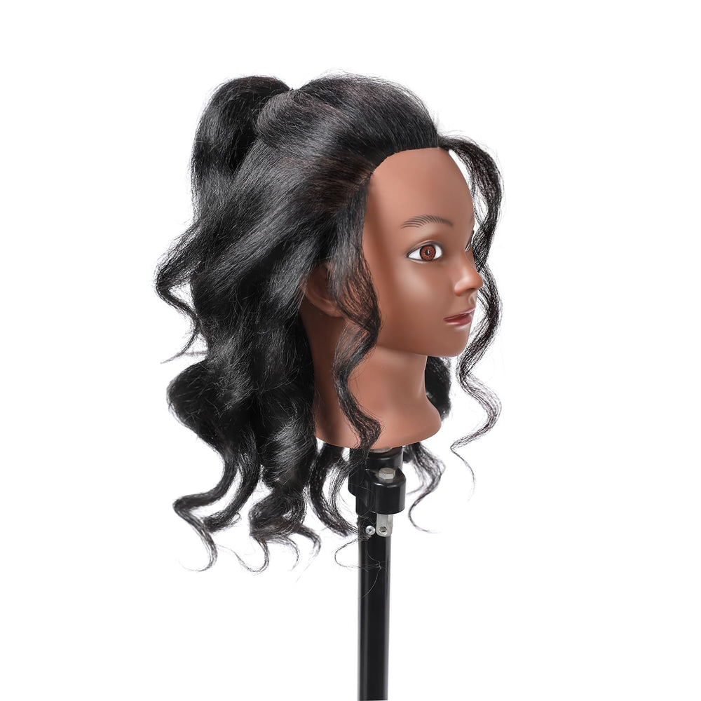Armmu head suitable for classroom use and demonstrations