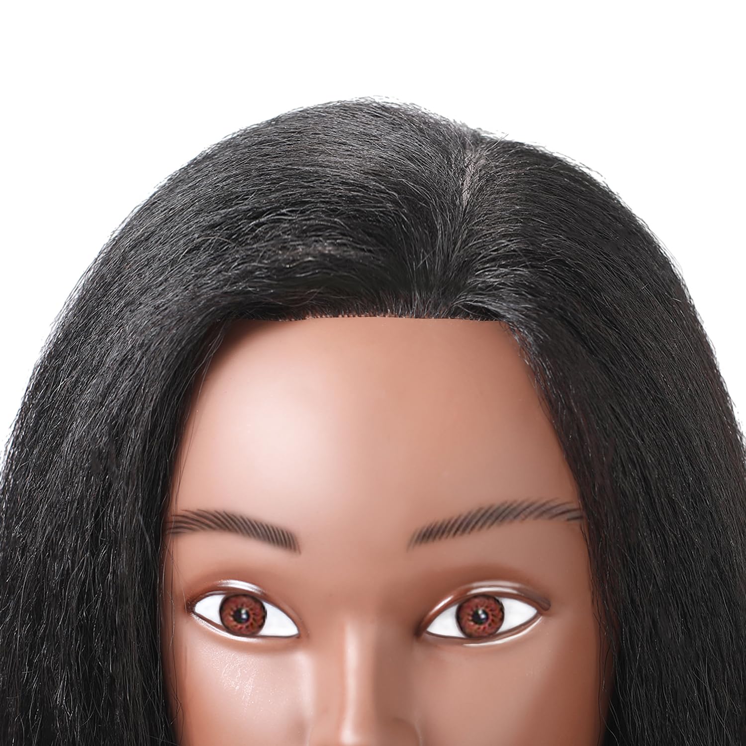 Armmu mannequin head ideal for education use in schools and studios.