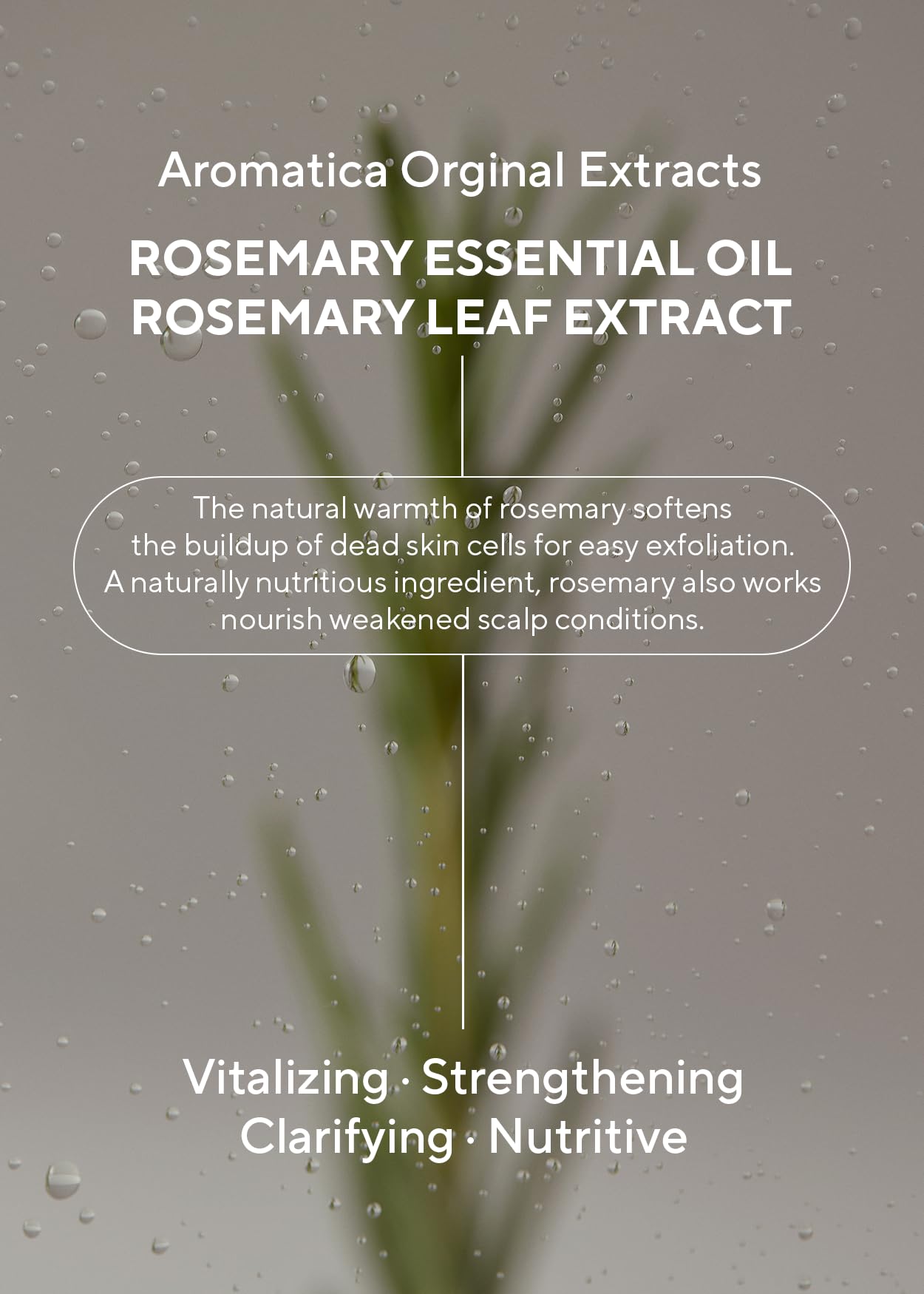AROMATICA babassu oil bottle conveys gentle moisture for healthy-looking hair