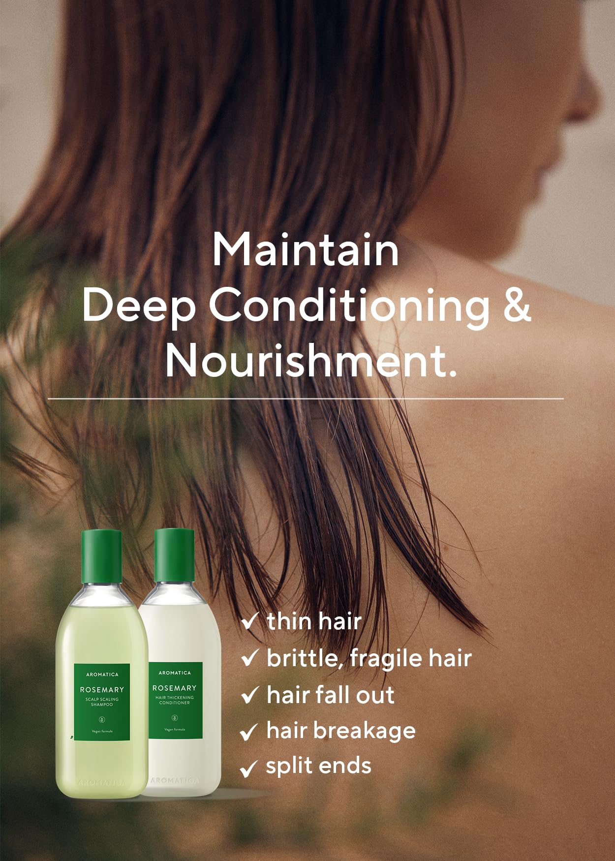 AROMATICA Rosemary oil ingredient spotlight for natural scent and scalp nourishment