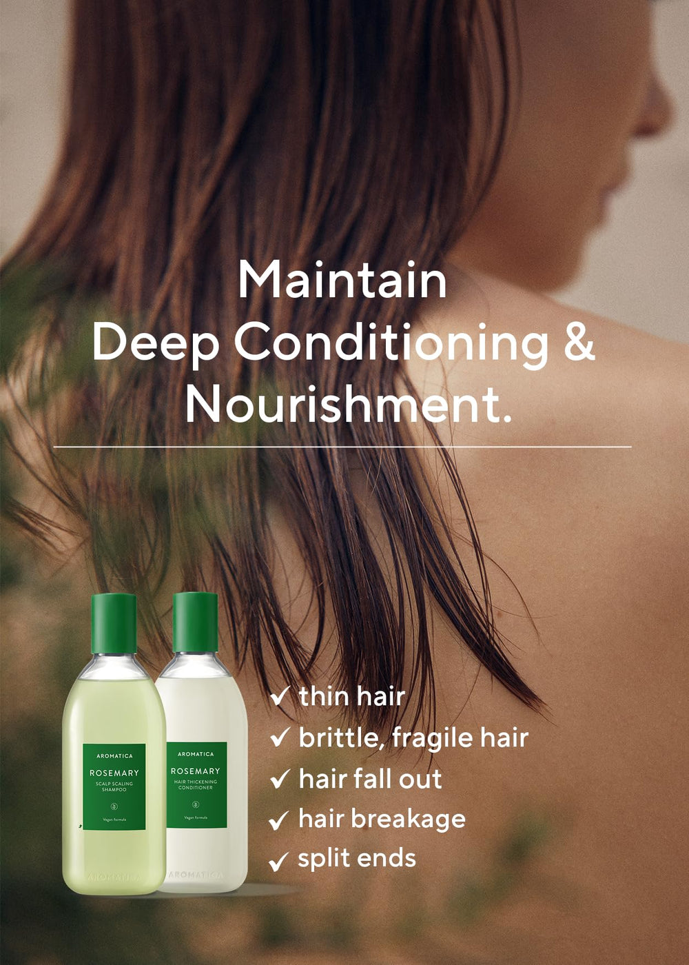 AROMATICA Rosemary oil ingredient spotlight for natural scent and scalp nourishment