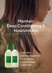 AROMATICA Rosemary oil ingredient spotlight for natural scent and scalp nourishment