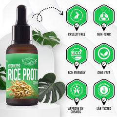 Proteína de arroz hidrolizada de Artekas Innovation, vertido líquido para productos cosméticos que retienen humedad