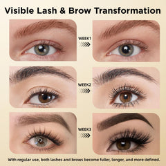 ASAMO applicator brush applying serum to lashes for easy daily use.