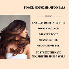 Aspen Kay Naturals Moroccan Argan Oil Shampoo Bar organic herbs close-up—scalp care.