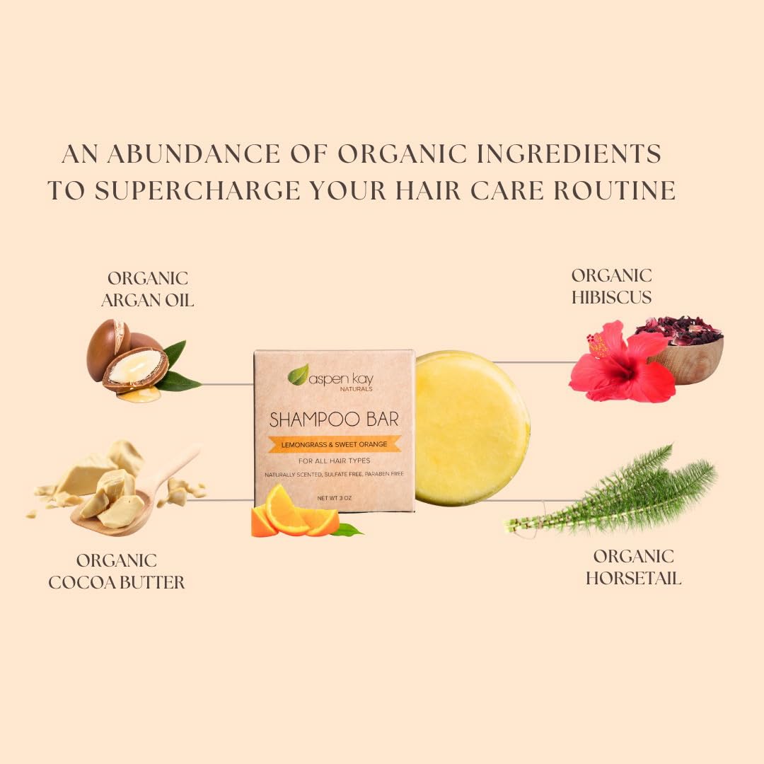 Aspen Kay Naturals Moroccan Argan Oil Shampoo Bar travel-friendly size packaging.