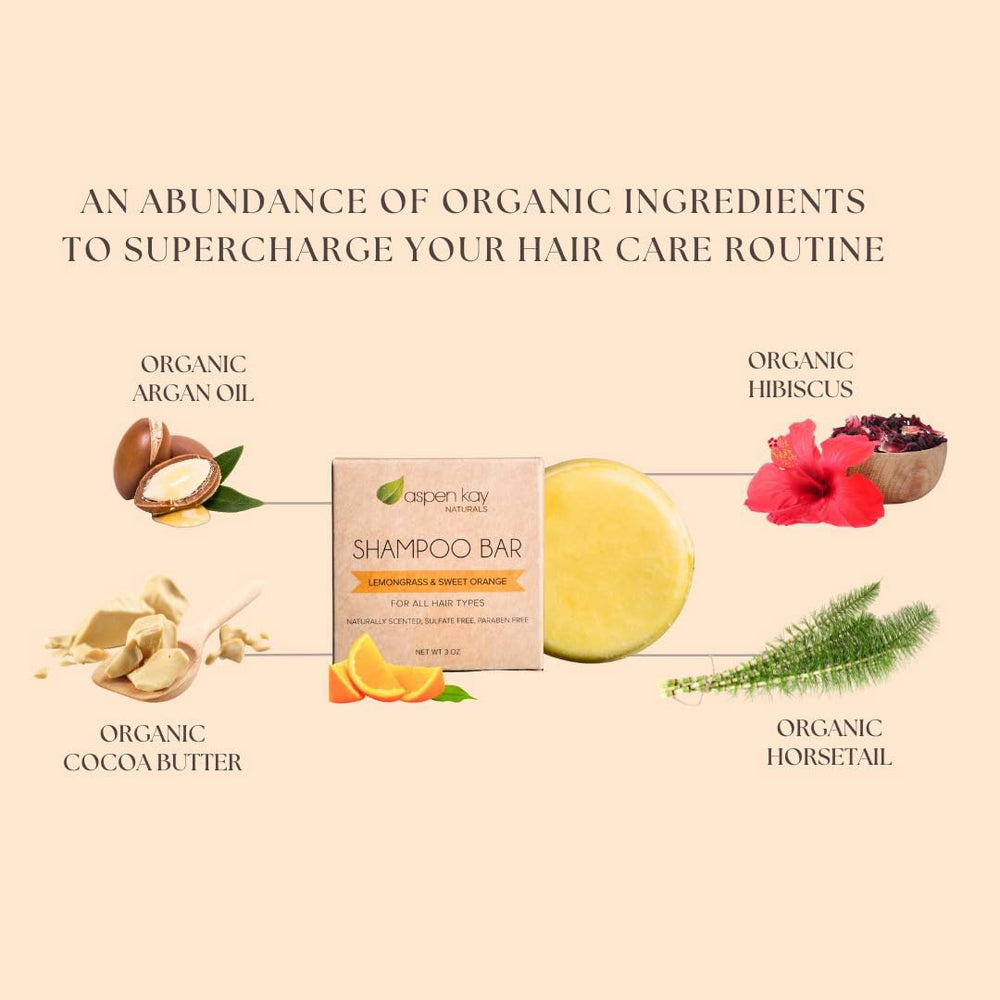 Aspen Kay Naturals Moroccan Argan Oil Shampoo Bar travel-friendly size packaging.