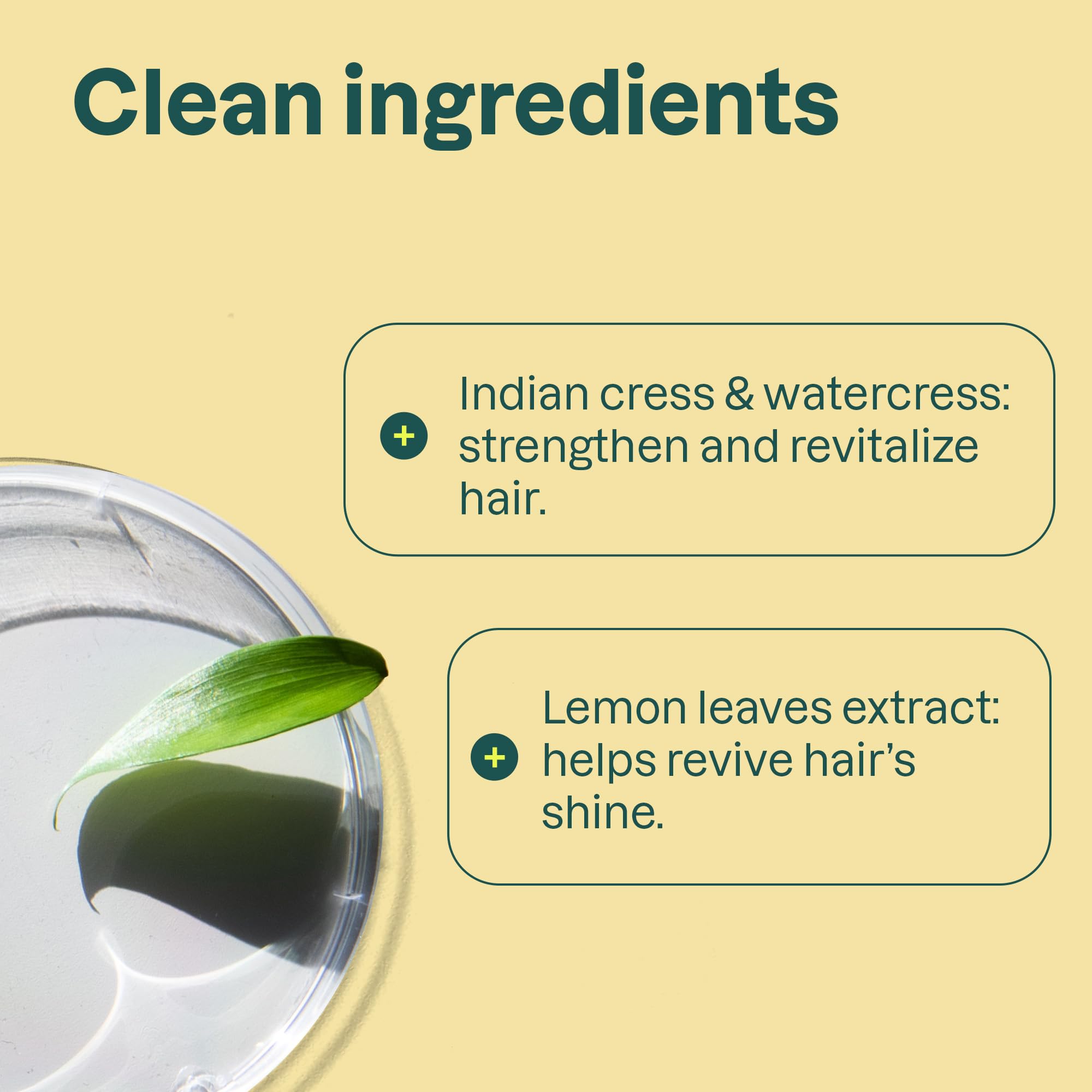 ATTITUDE Clarifying Conditioner vegan dermatologically-tested label confirms gentle, plant-based care for scalp.