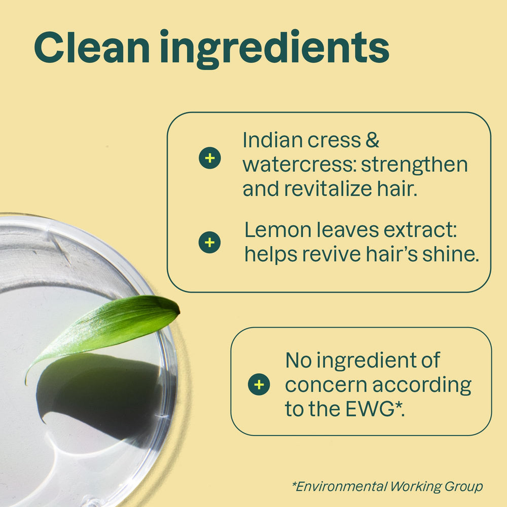 ATTITUDE Clarifying Shampoo close-up with white tea leaves conveys gentle strengthening