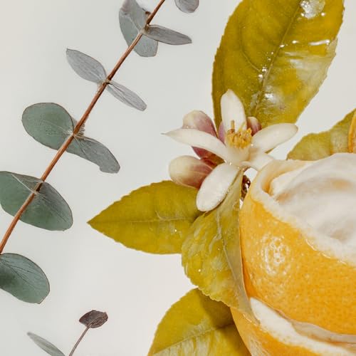ATTITUDE natural-origin ingredients list highlighting watercress and Indian cress.