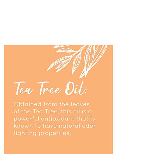 Cocoa Dreams fragrance evokes beach vibes during daily skincare routine.