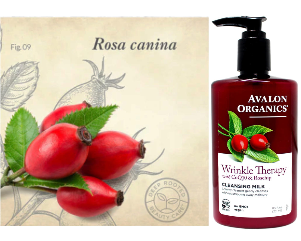 Avalon Organics CoQ10 Cleansing Milk pack-of-2 on shelf communicates value.