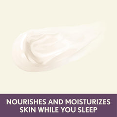 Aveeno Absolutely Ageless blackberry complex image emphasizing antioxidant-rich formula