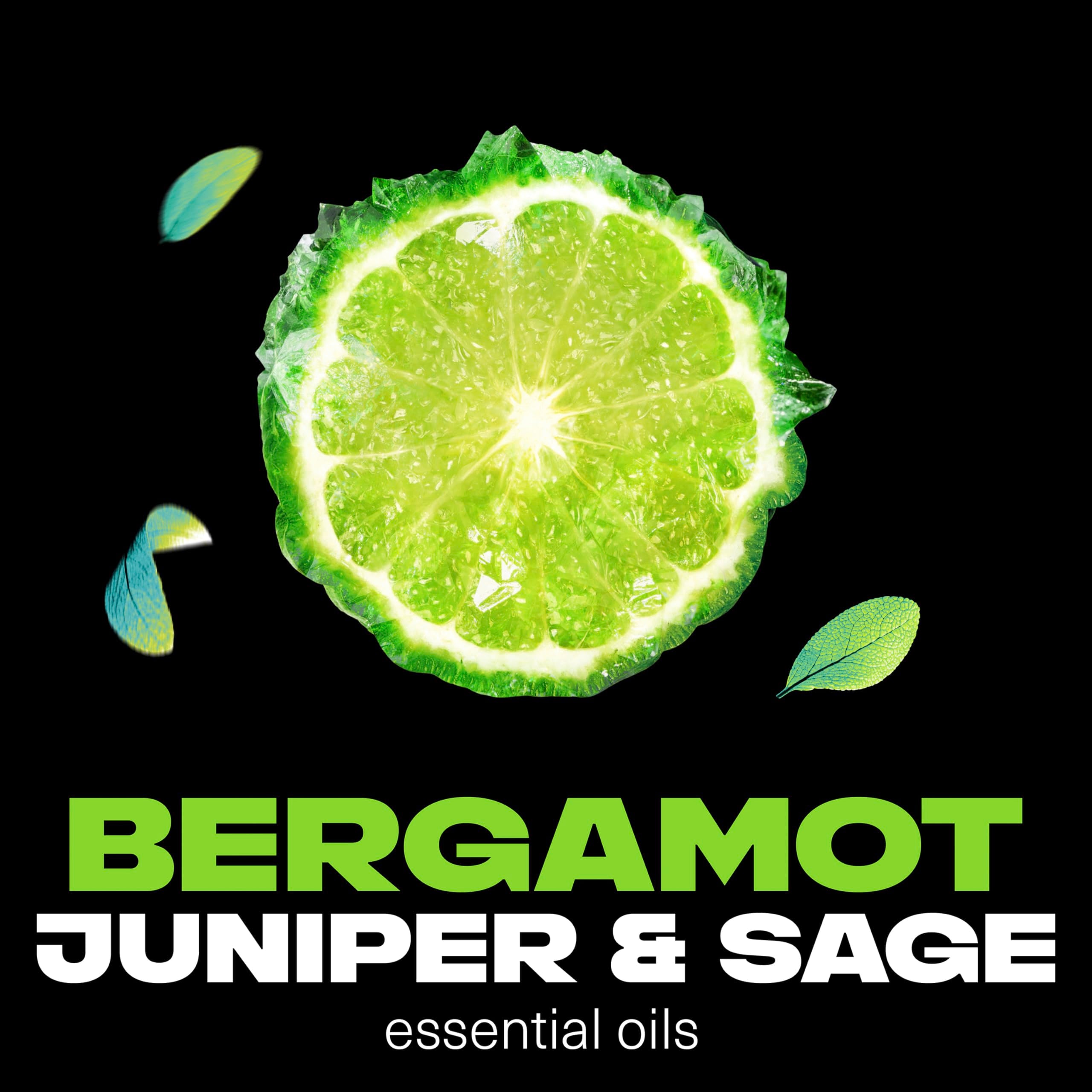 AXE Aqua Bergamot and sage essential oils closeup suggests fresh, sophisticated scent profile.
