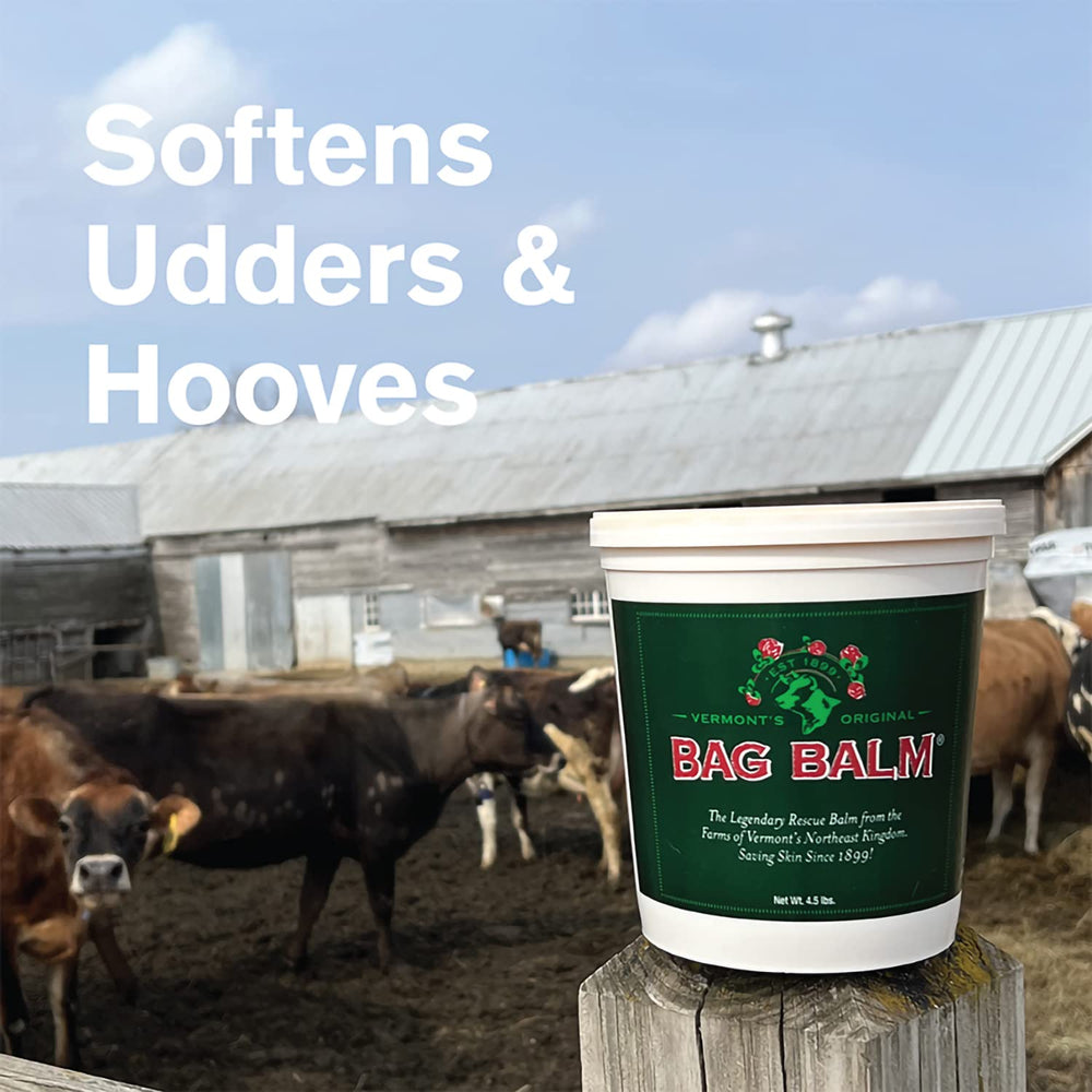 Bag Balm hand-application close-up smoothing dry skin and soothing relief for daily use.