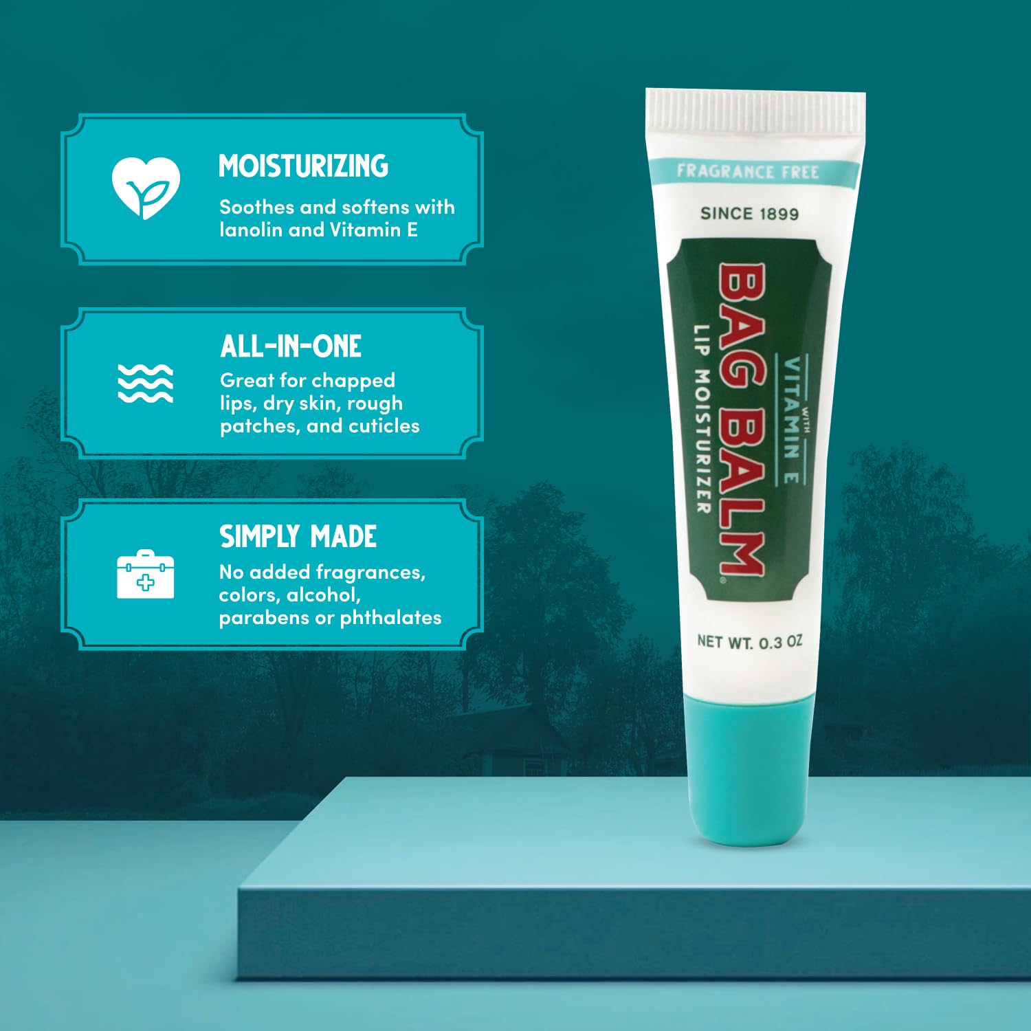 Bag Balm vitamin E lip balm tubes pack-4 highlighting soothing care.