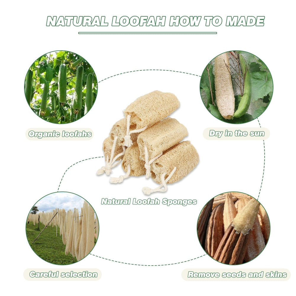 Balifeel loofah sponge in shower scene showcases gentle exfoliation during bath time.