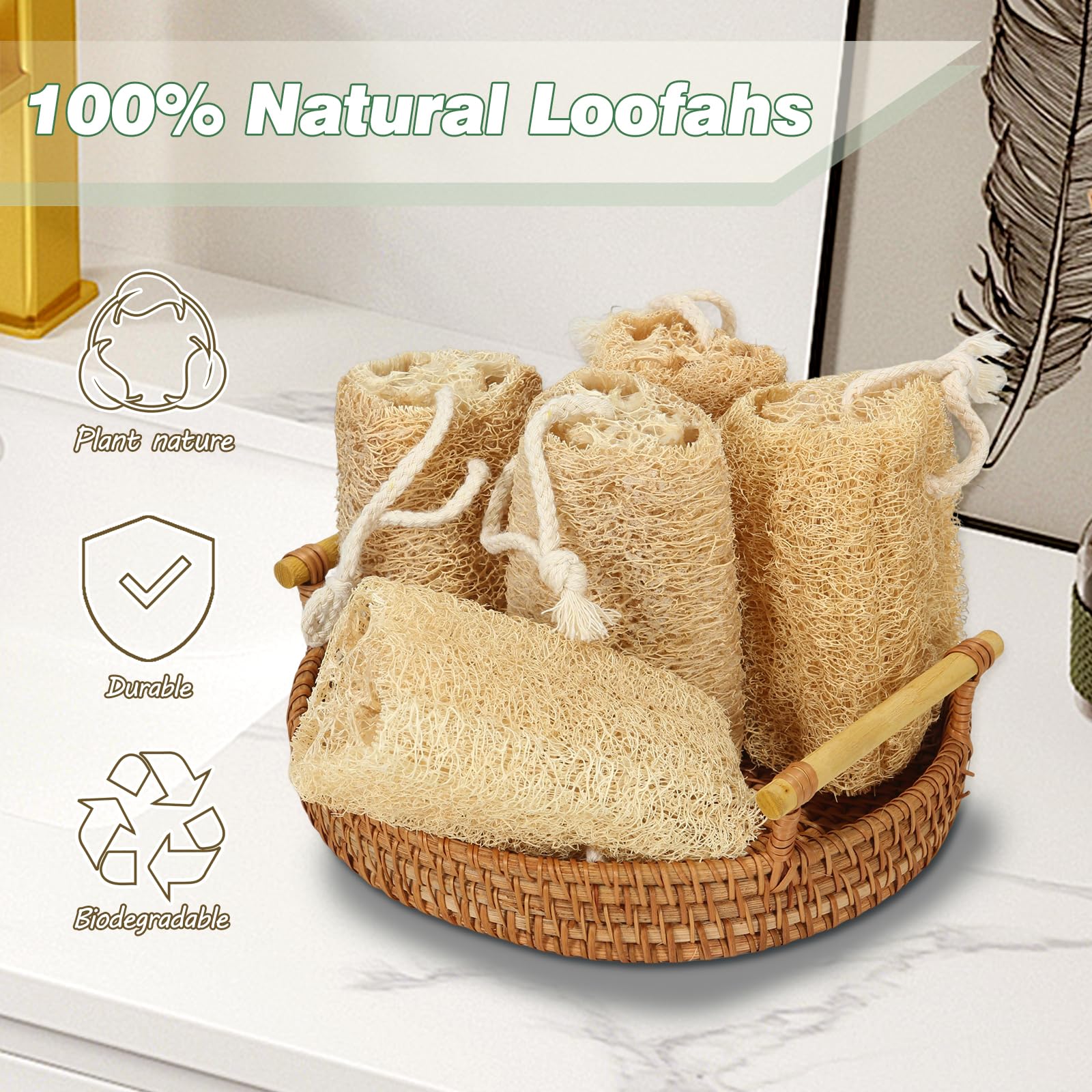 Balifeel loofah sponge wet-to-dry transition highlights resilience and quick rehydration.