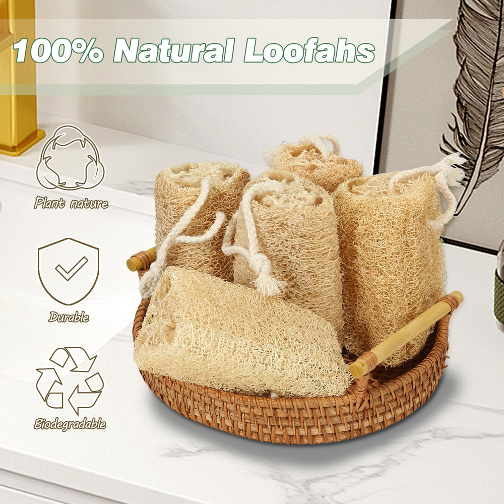 Balifeel loofah sponge wet-to-dry transition highlights resilience and quick rehydration.