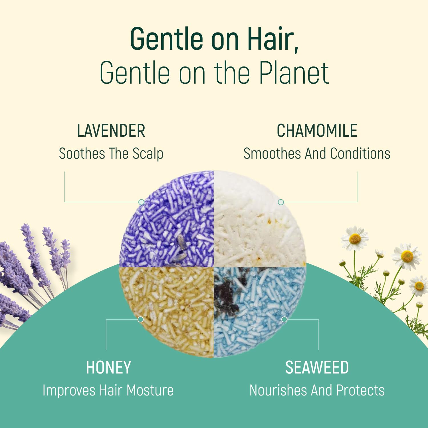 BAMBOEARTH seaweed bar demonstrating marine nutrients for revitalized hair