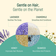 BAMBOEARTH seaweed bar demonstrating marine nutrients for revitalized hair