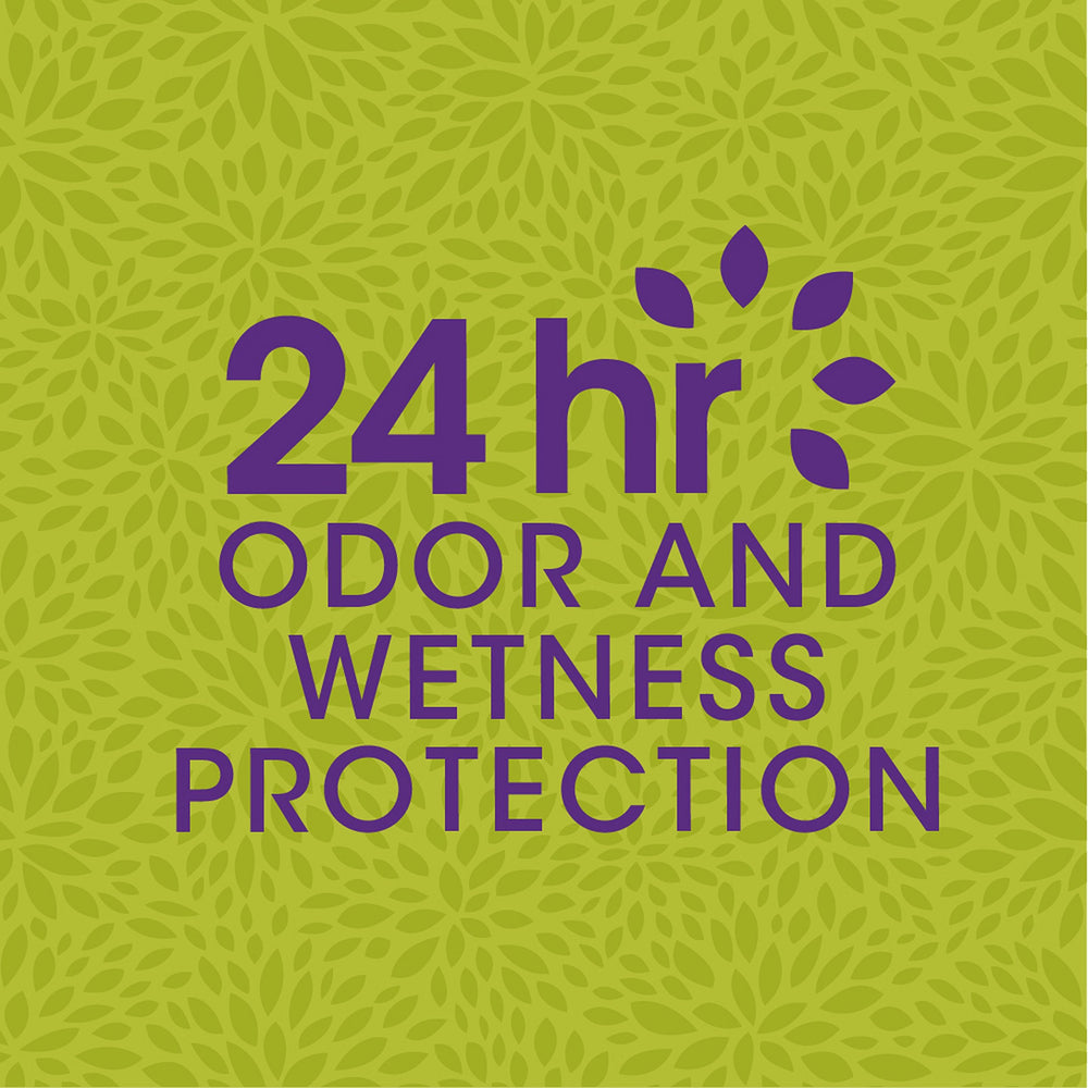 Ban Invisible Solid Shower Fresh ingredients featuring Kihada extract for odor control