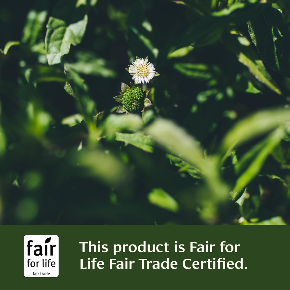 Banyan Botanicals packaging on shelf signals sustainably sourced ingredients and care.
