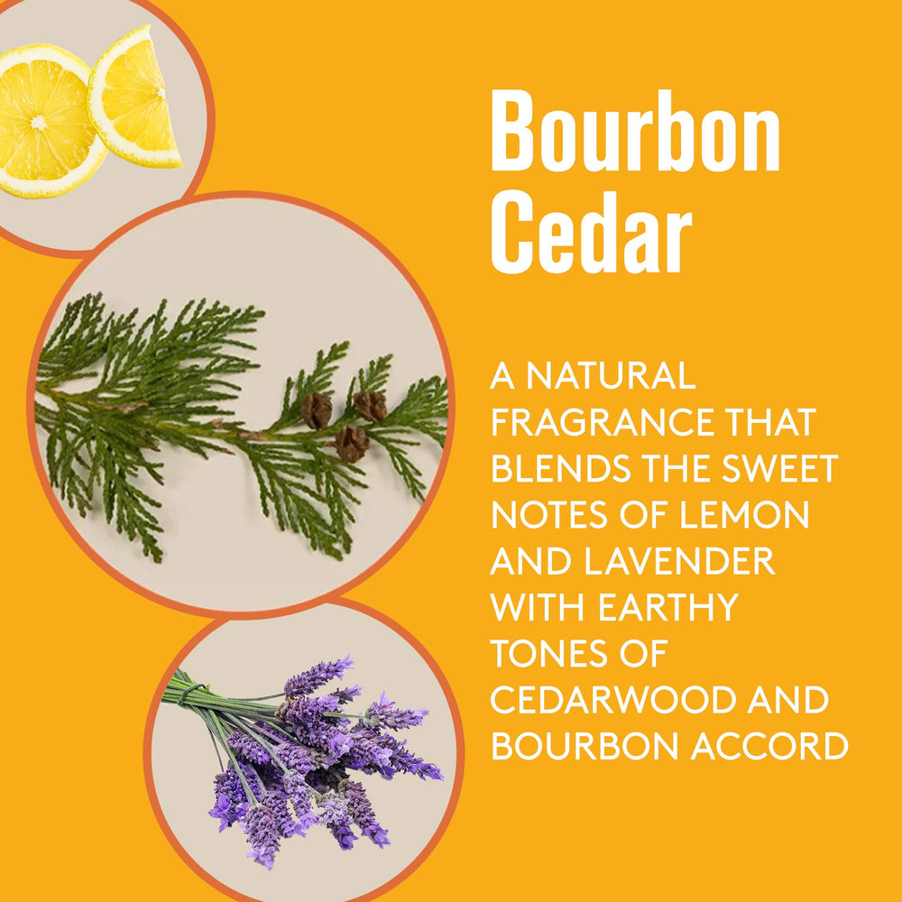 Barrel and Oak yerba mate extract image emphasizes energized skin and reduced redness potential.