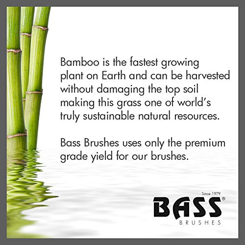 Bass facial cleansing brush cleaning steps show hygiene maintenance.