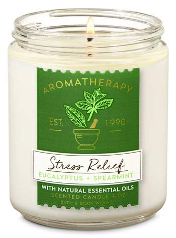 Bath & Body Works Aromatherapy Wick Candle with eucalyptus spearmint for relaxing evenings.