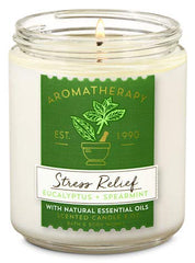 Bath & Body Works Aromatherapy Wick Candle with eucalyptus spearmint for relaxing evenings.