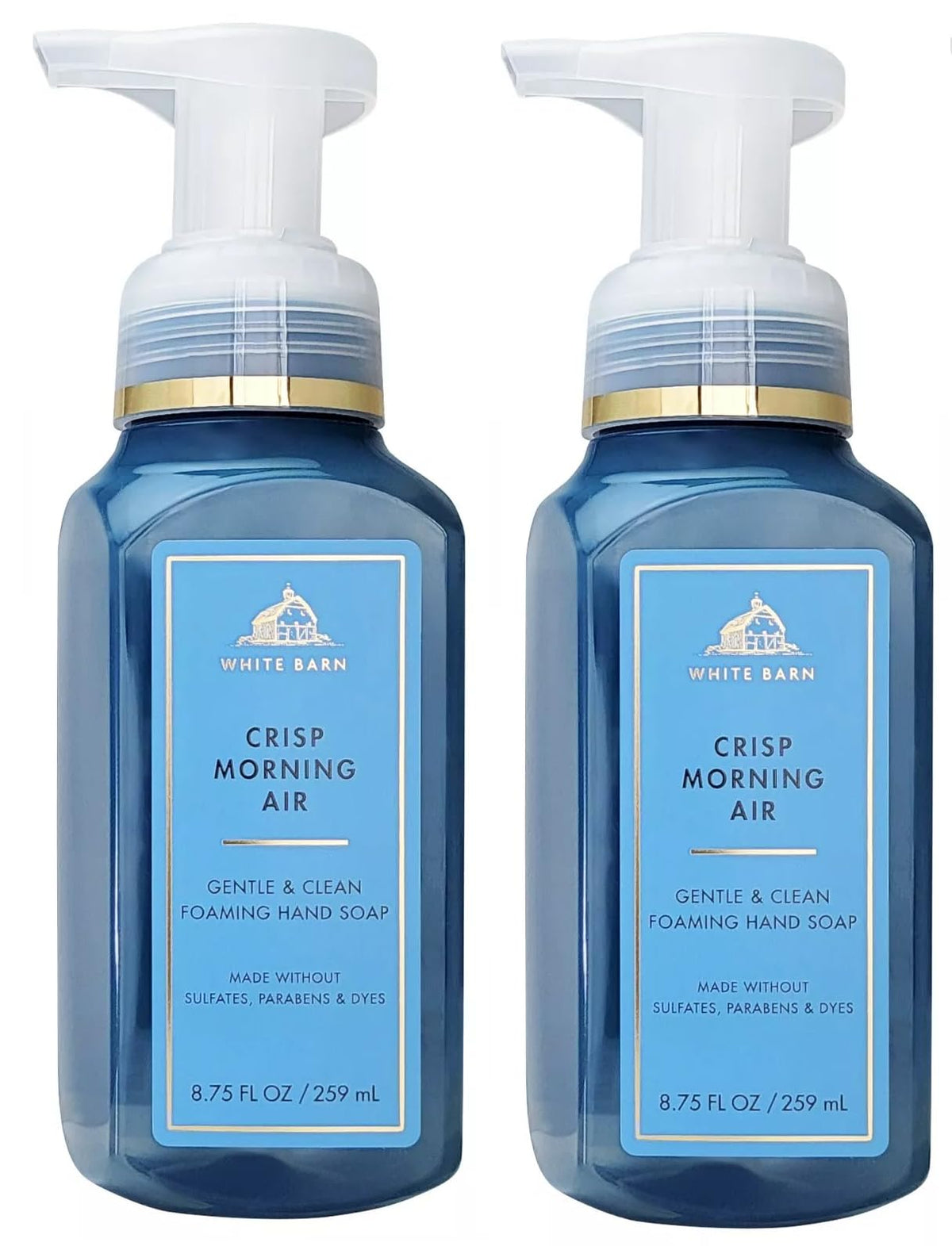 Bath & Body Works Crisp Morning Air bottle front with gentle foaming soap for refreshing cleanse
