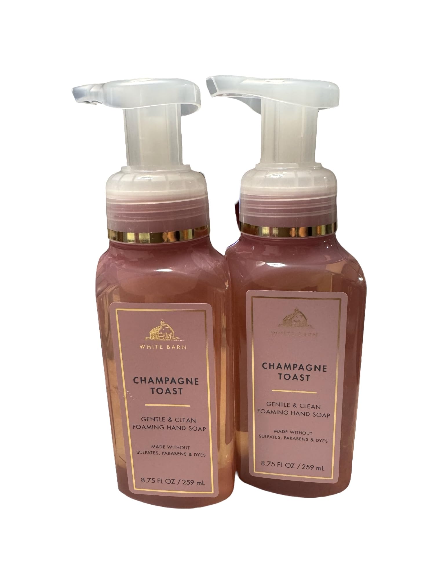 Bath and Body Works Gentle Foaming Hand Soap Champagne Toast creamy lather close up highlights Aloe