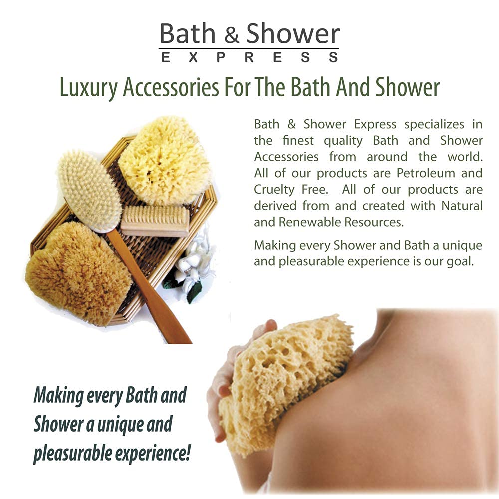 Bath & Shower Express sea wool sponge hand-picked quality closeup