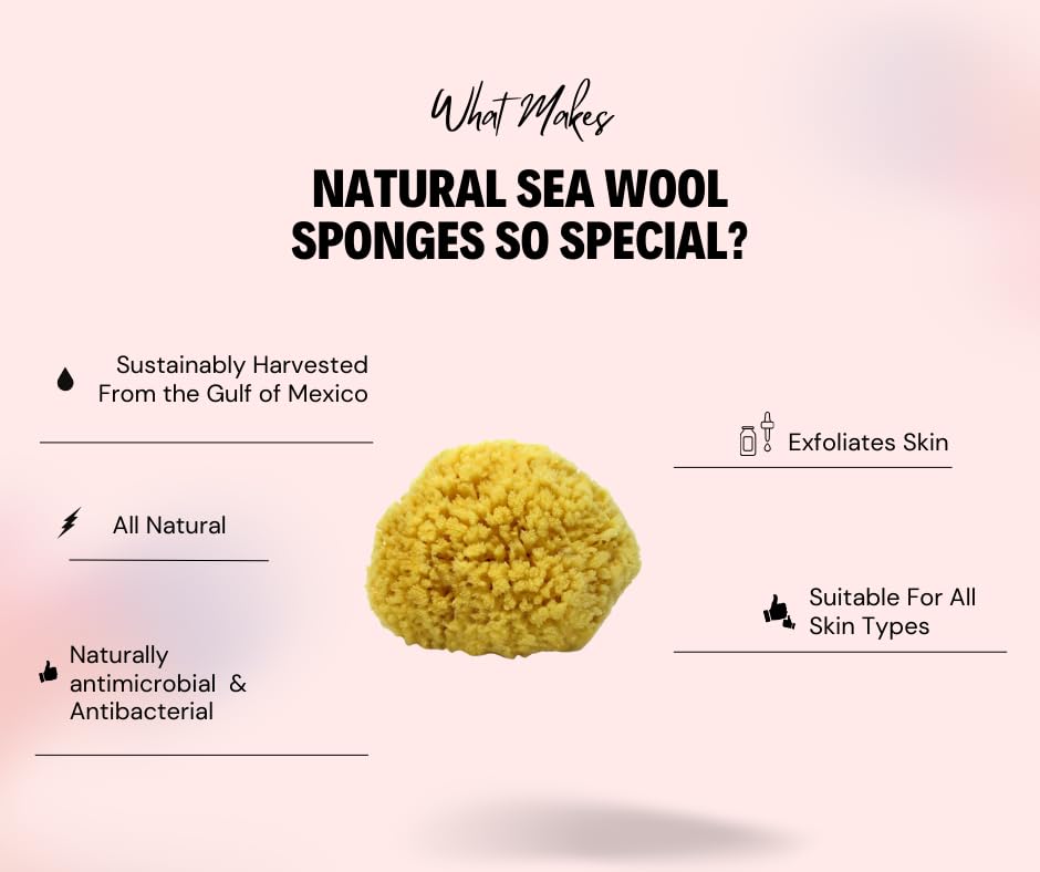 Bath & Shower Express sea wool sponge luxurious lather for shower