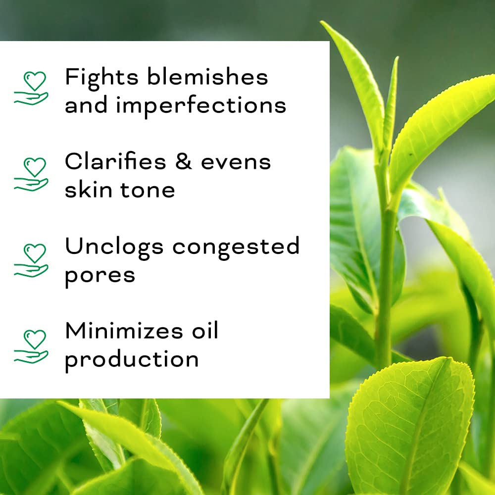 Beauty Foundry tea tree facial oil application highlighting blemish targeting and soothing feel