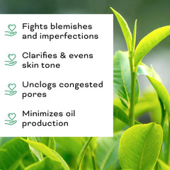 Beauty Foundry tea tree facial oil application highlighting blemish targeting and soothing feel