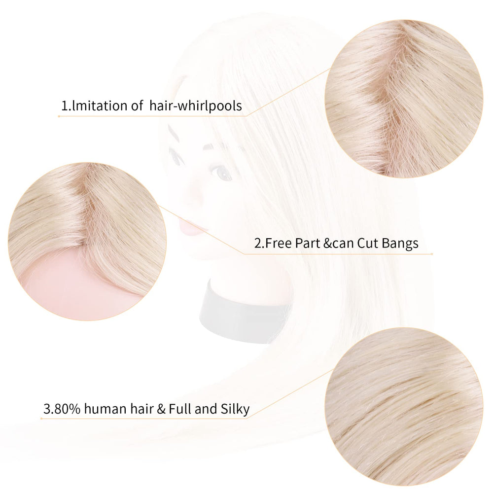Beauty Star training head suits cosmetology students and hobbyists