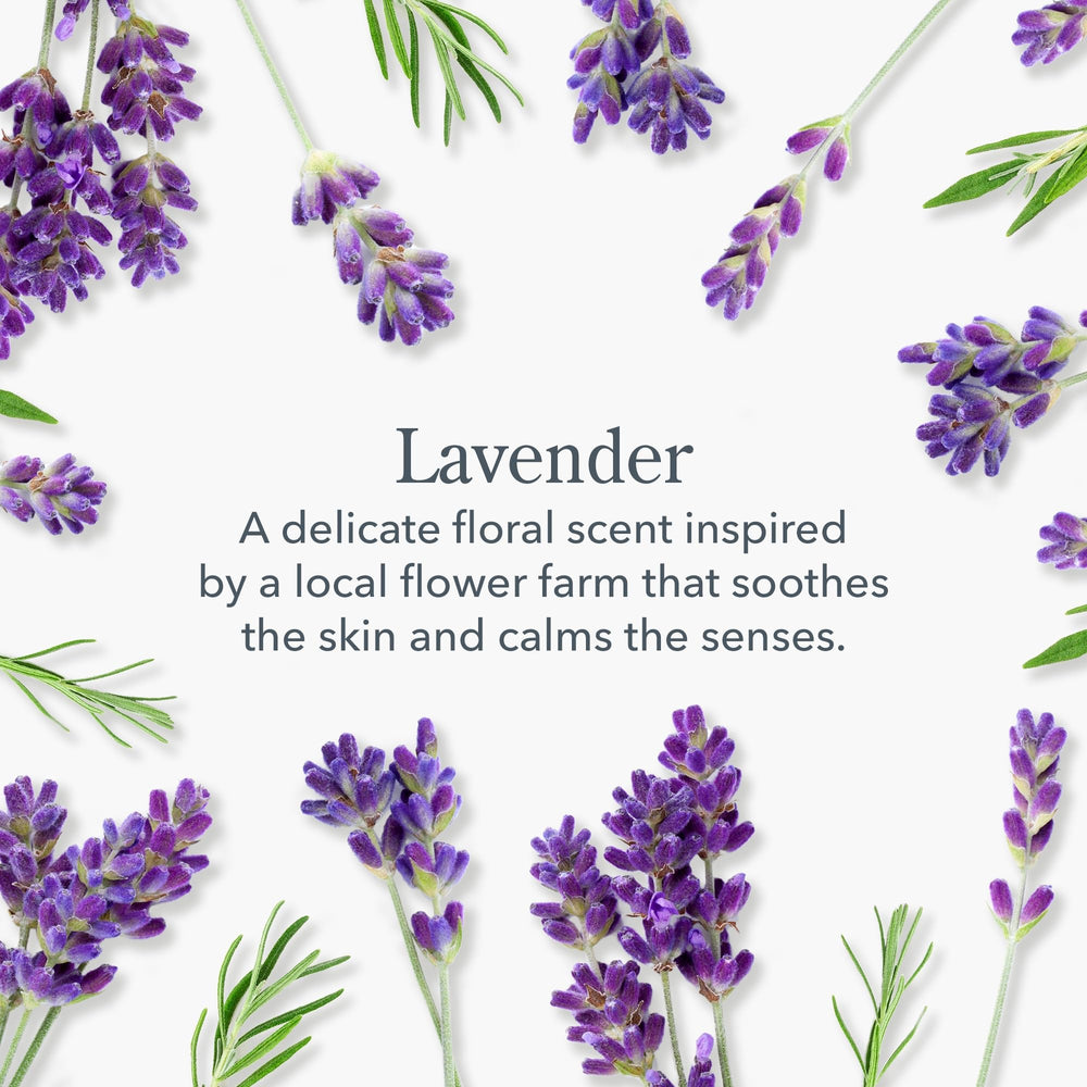Beekman 1802 lavender hand cream tube close-up showing creamy texture.