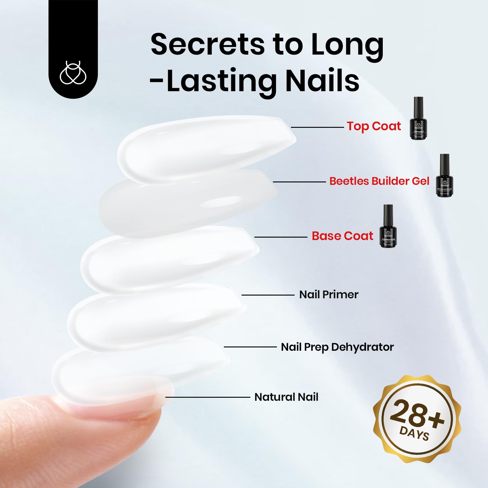 Beetles Nail art setup image featuring brushes and tips for DIY manicure.