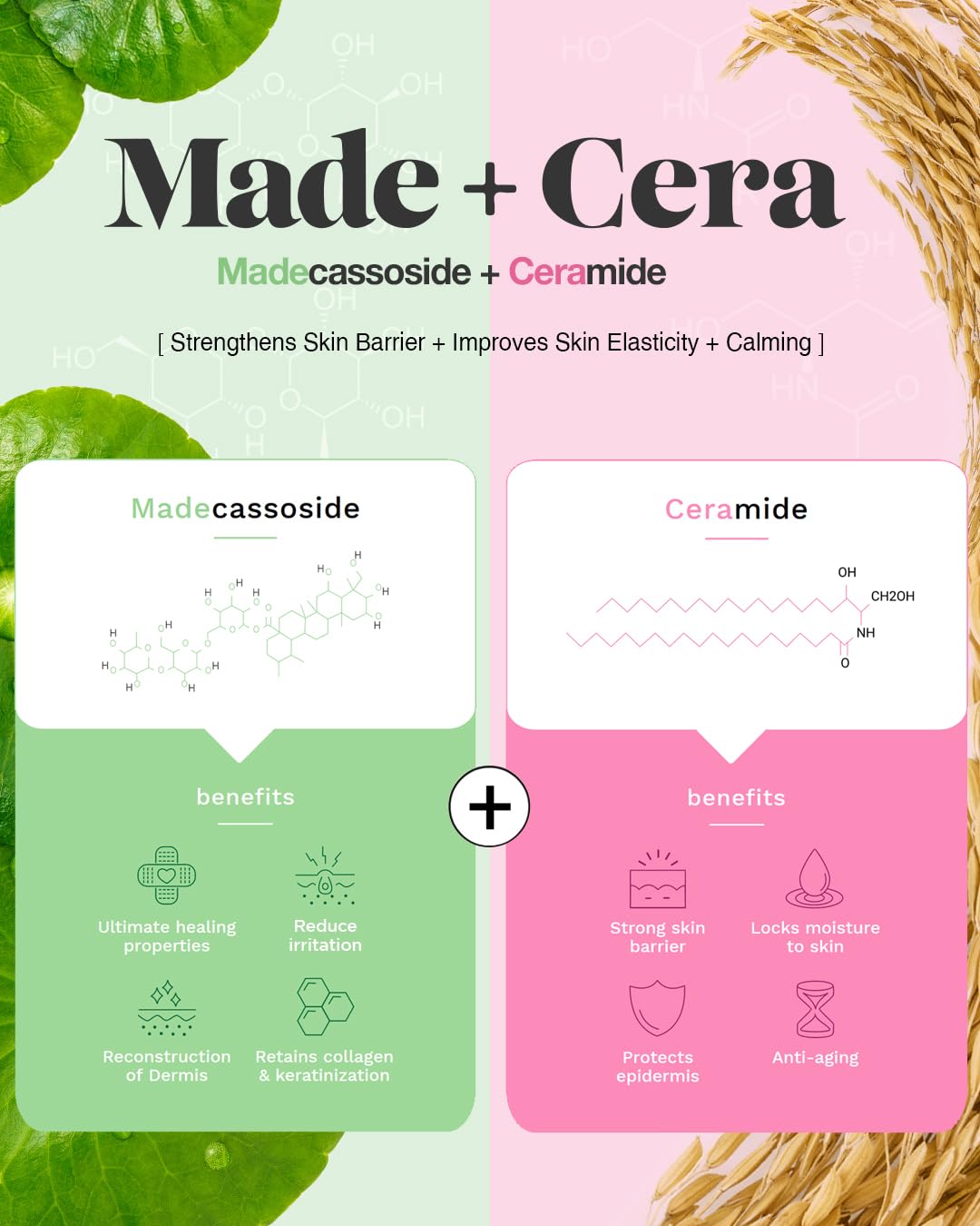 BEISIKS SKINRxLAB Made Cera Cream on fingertips illustrating quick absorption