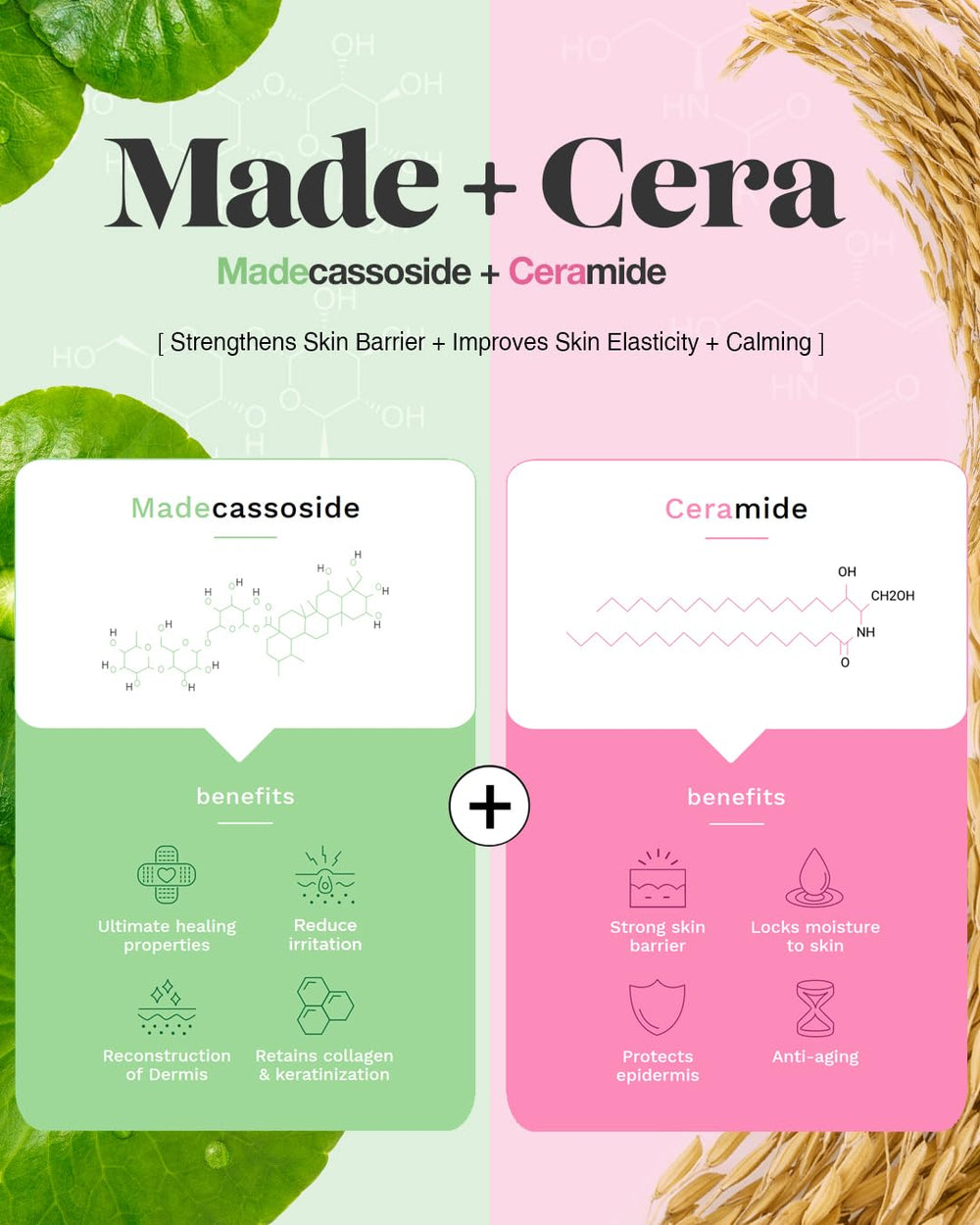 BEISIKS SKINRxLAB Made Cera Cream on fingertips illustrating quick absorption