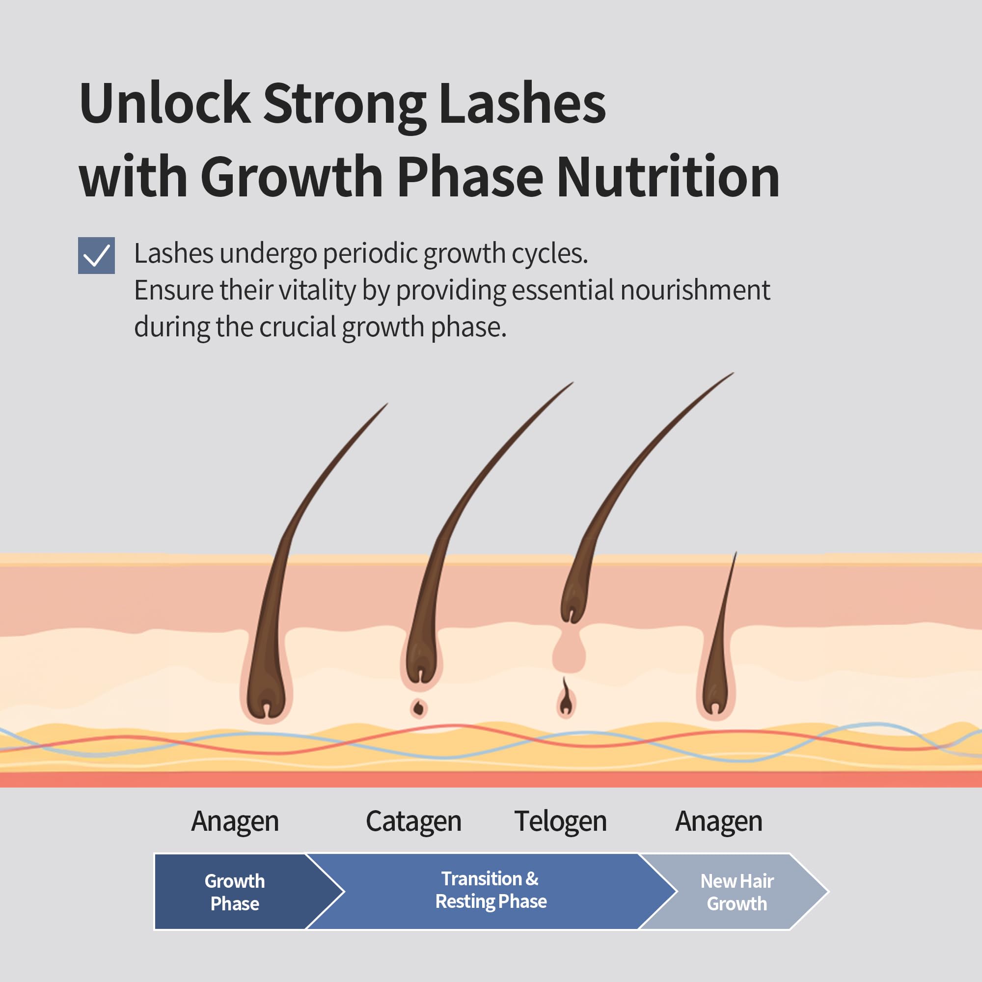 BENTON Honest Eyelash Serum used on eyebrows and hairlines for versatile care