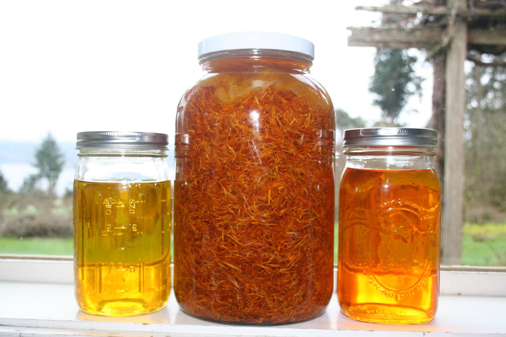 Berry Beautiful Raspberry Seed Oil on skin application showing quick absorption and moisturization