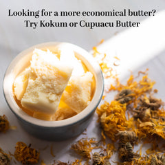 Better Shea Butter unrefined cocoa butter solid on skin
