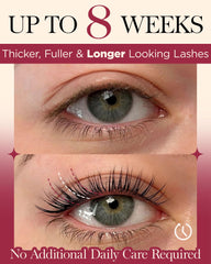 BEYELIAN Lash Lift Kit lash curl closeup demonstrates dramatic natural curl.
