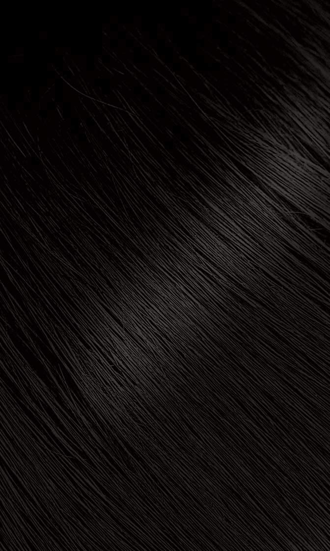 Bigen #57 Dark Brown six-pack product shot emphasizes value and gray coverage potential.